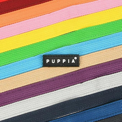 Puppia Two Tone Dog Lead Strong Durable Comfortable Grip Walking Training Leash for Small & Medium Dog, LT.Grey, Small