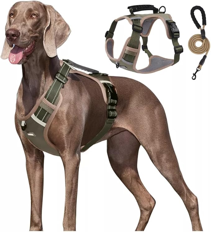 Dog Harness No Pull Adjustable Reflective,for Medium and Large Small Dog with Leash 59.06in (Khaki, M)