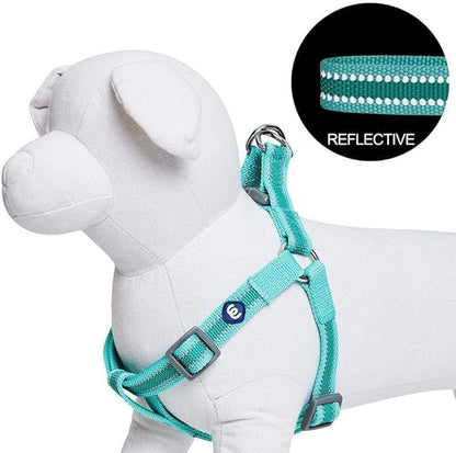 Blueberry Pet Essentials Reflective Back to Basics Matching Dog Harness and Leash Set, Minty Green, Adjustable Harness with 5 ft Leash for Small Dogs