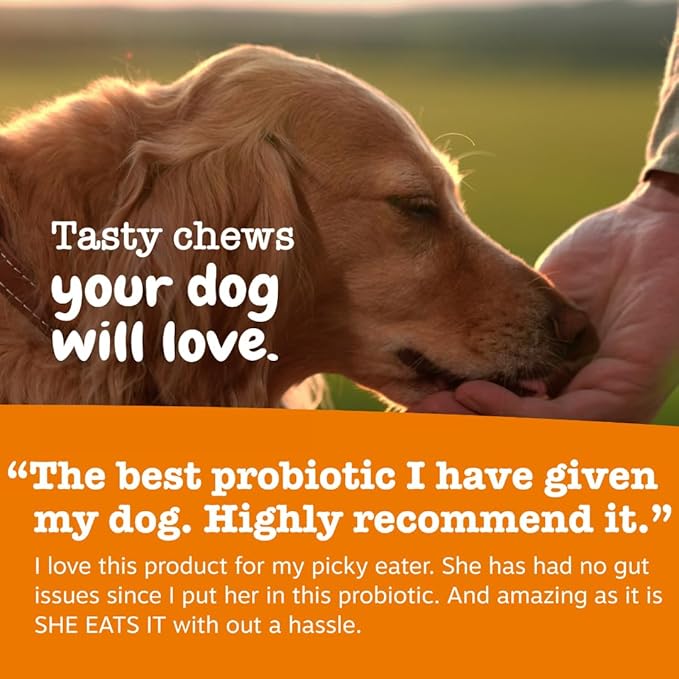 Zesty Paws Vet Strength Probiotics for Dogs, Digestive Health & Gut Flora Support, Dog Supplements, 90 Count