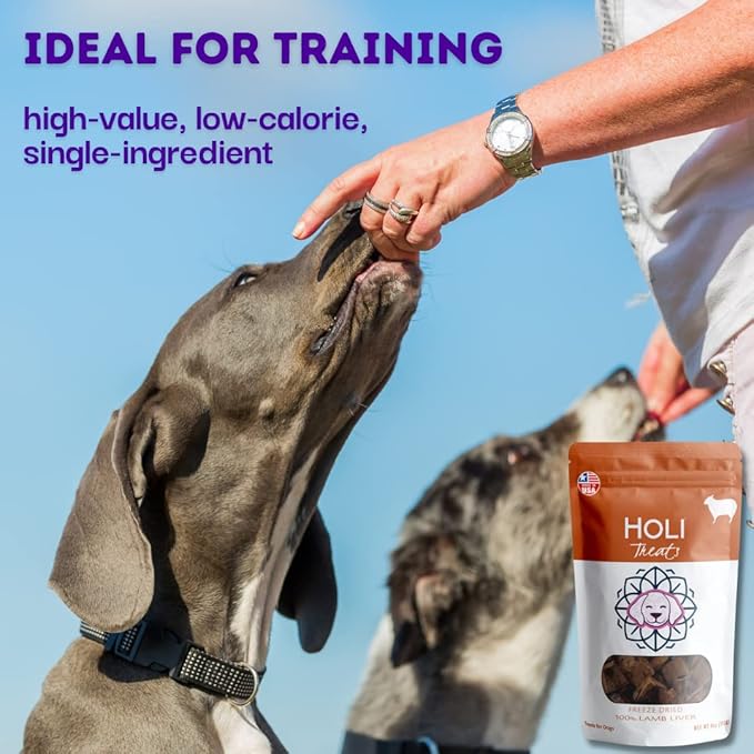 HOLI Freeze Dried Lamb Liver Dog Treats – Single Ingredient Freeze-Dried Dog Treats – Dried Lamb Liver Dog Treats Made in USA – Healthy Liver Treats for Dogs & Diabetic Dog Treat-Friendly - 8oz