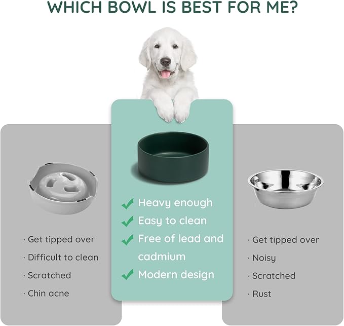 SPUNKYJUNKY 13.5OZ Ceramic Dog and Cat Bowl, Modern Cute Weighted Food Water Bowl for Replacement Green (1 Pack)