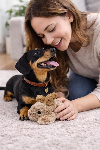 Multipet Rabbit Dog Toy w/Squeaker | Thumperz Dog Toy | Stuffed Bunny Toy for Dogs | Plush Squeaker Bunnies Dogs Toy | Small/Medium Breed (Tan/Brown, 6")