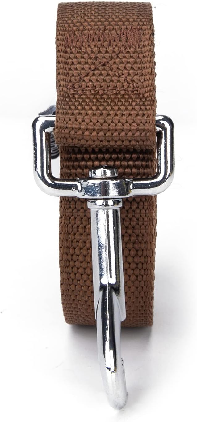 Strong Durable Nylon Dog Training Leash, 1 Inch Wide Traction Rope, 6 ft 10ft 15ft Long, for Small and Medium Dog (Brown, 10 Feet)