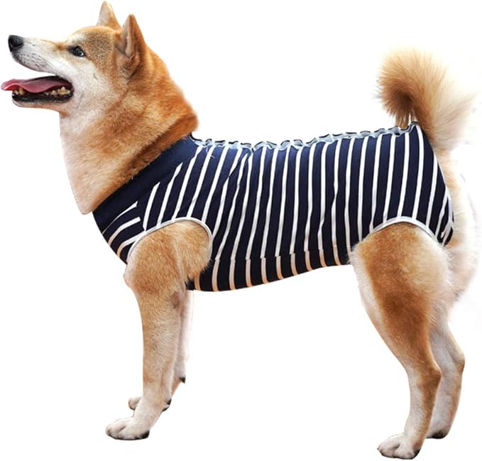Dotoner Dog Recovery Suit Abdominal Wound Puppy Surgical Clothes Post-Operative Vest Pet After Surgery Wear Substitute E-Collar & Cone(2XL, Blue Stripe)