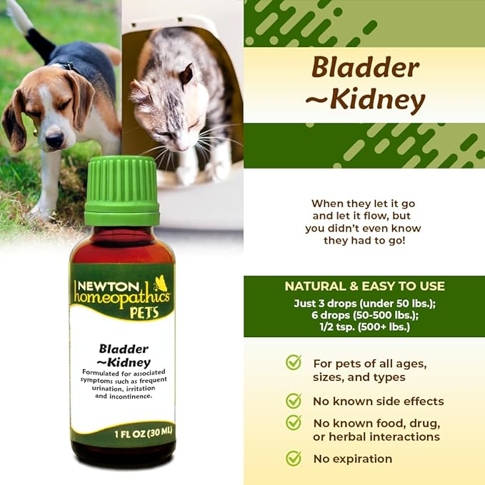 Newton Homeopathics Pets Bladder~Kidney - 1 Oz Liquid