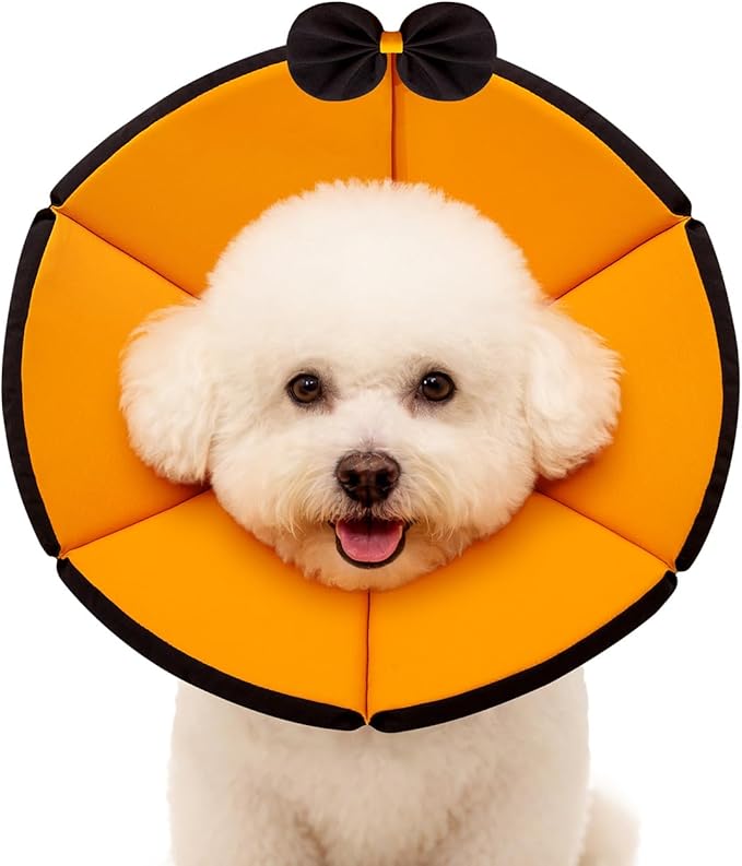 MAXFUT Soft Dog Cone Collar,Foam Cone for Dogs to Stop Licking After Surgery,Non Inflatable Dog Donut Cone (Orange, XS)