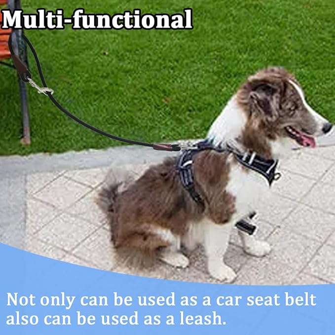 MayPaw Training Tie Down- Short Dog Tether Indoor- Strong Rope Dog Car Leash Seat Belt- 5 Sizes Vehicle Safety Restraint Lead for Small Medium Large Dogs (24 Inch)