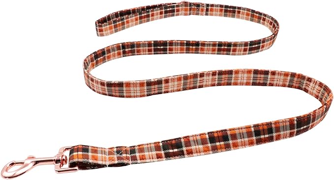 Lionet Paws Dog Leash for Small Dogs, Orange, Blue, 4.4ft (135cm), Snap Closure