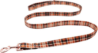 Lionet Paws Dog Leash for Small Dogs, Orange, Blue, 4.4ft (135cm), Snap Closure