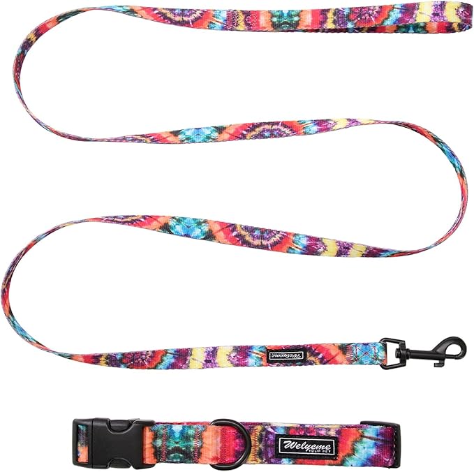 Dog Collar and Leash Set for XSmall Small Medium Large Dogs, Rainbow Stripes, Tie Dye Dog Collar (S(9.9''-11.8''))
