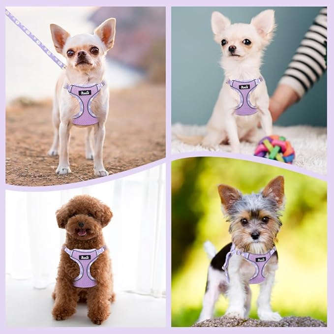 Lukovee No Pull Puppy Harness and Leash Set - Soft Lightweight Escape Proof Puppy Vest Harness, Breathable Adjustable Pet Harness with Dog Leash for Small Dogs (Purple, S)