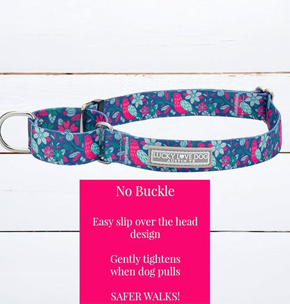Lucky Love Dog Martingale Dog Collar - Adjustable, No-Slip, Comfortable, Durable, Soft Webbing & Stylish Patterned Collar for Male and Female Dogs Ideal for Training & Walking - Carriebelle, Medium