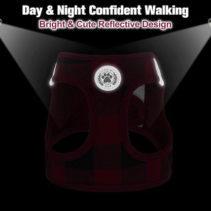 BEAUTYZOO Small Dog Harness and Leash Set,Step in No Choke No Pull Soft Mesh Dog Harnesses Reflective for Extra-Small Medium Puppy Dogs and Cats, Plaid Dog Vest Harness for XS S Pets, Red, XS