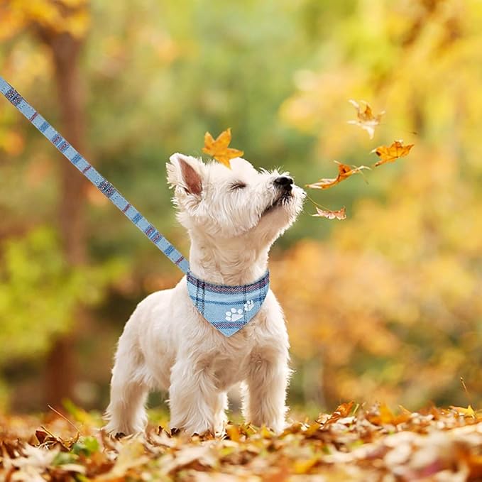 EXPAWLORER Dog Collar and Leash Set - Pawprint Plaid Collar with Bow Tie and Bell, Cute for Dogs and Cats, Blue S-M