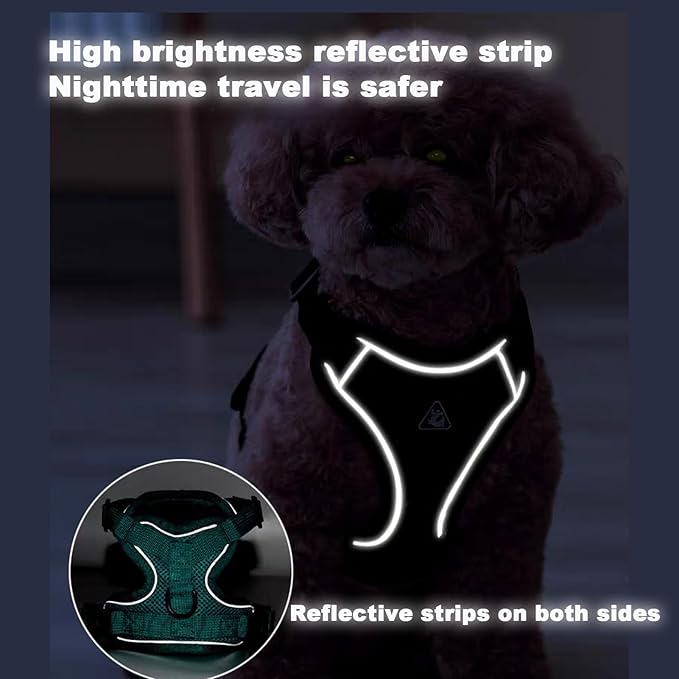 SOLMOONY Small Dog Harness,Soft Mesh Puppy Harness and Leash Set,No Escape Cat Harnesses for Training Walking,Reflective Adjustable Puppy Vest for Small Medium Dogs, Cats (Turquoise, XL)
