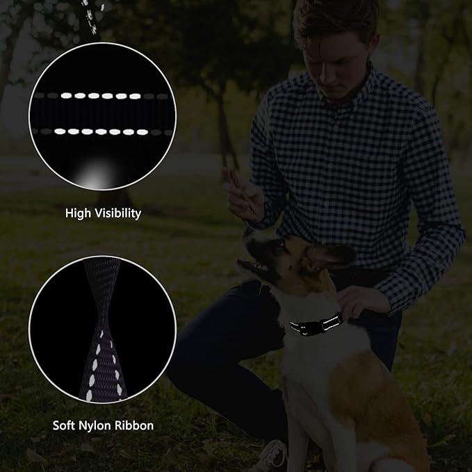 Martingale Dog Collar and Leash Set Martingale Collars for Dogs Reflective Martingale Collar for Small Medium Large Dogs(Black&L)