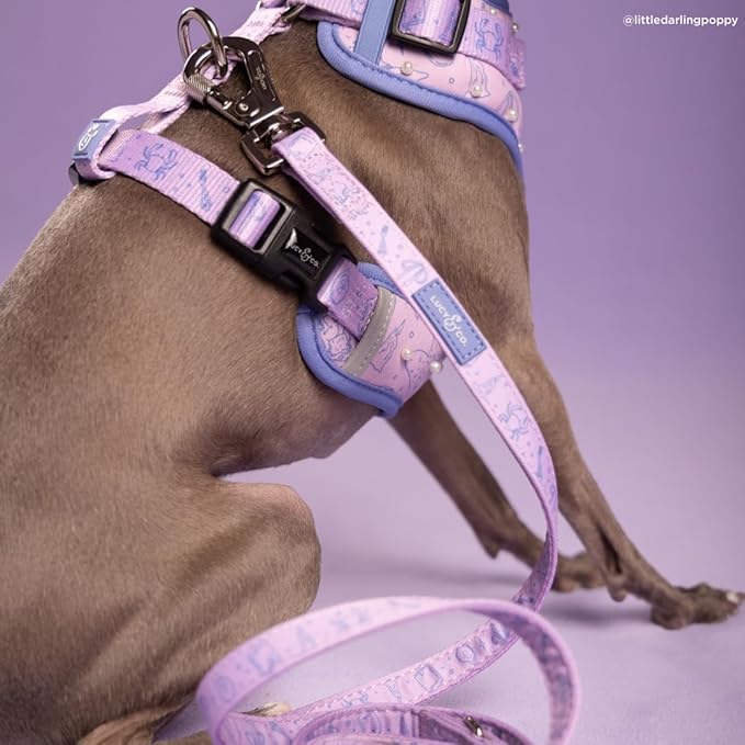 Lucy & Co. Magnificent Mermaid Pearl Dog Leash, Durable Matching Dog Lead with Heavy Duty Hardware, Small