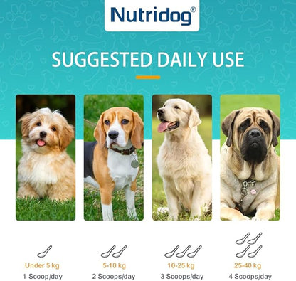Calming Powder for Dogs - Anxiety & Stress Relief Supplement with Organic Hemp, Valerian Root - Behavioral Support, Fireworks & Travel Aid - Beef Flavor, 90g Powder (ND-046)
