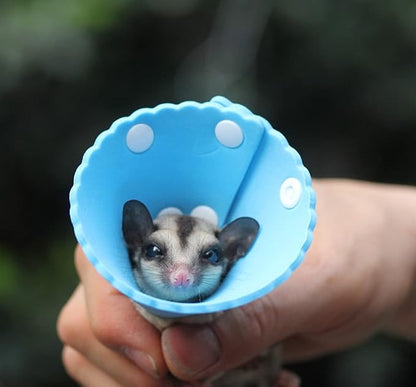 Squirrel Elizabeth Collar, Sugar Glider Protection Cone Neck Recovery Collar, Elizabeth Anti-Water E-Collar Cone for Small Animals, Soft Pet Neck Cone for Squirrel (for Chipmunk/Sugar Glider)