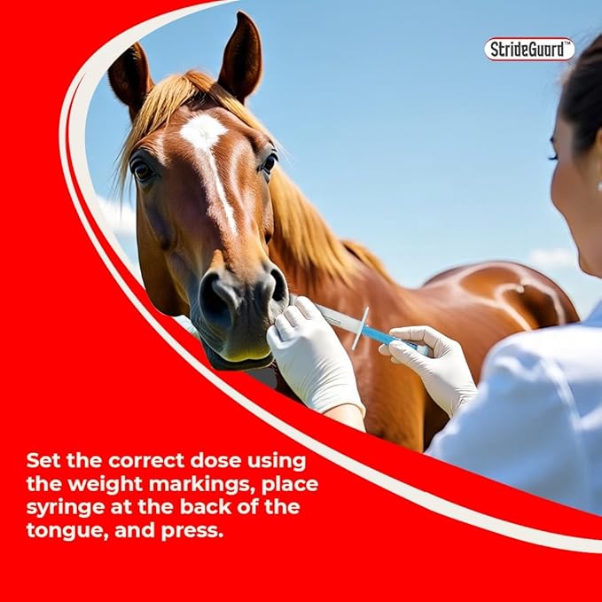 Horse Ivermectin Paste 1.87% – Apple Flavored Oral Horse Dewormer Syringe – 6.08g Tube Treats Horses Up to 1250 LB [Pack-36]