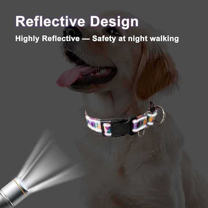 Reflective Martingale Collar for Dogs with Quick Release Buckle No Pull Training Dog Collars (Colorful Geometric, Large)