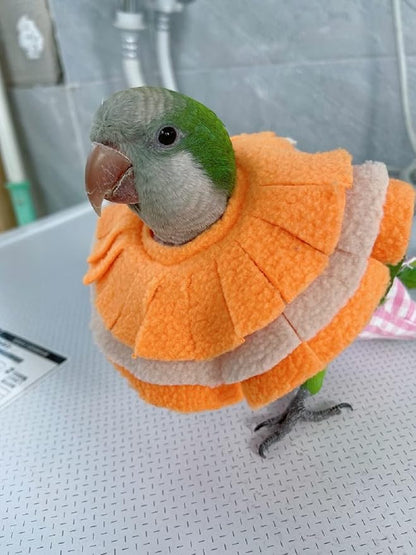 Adjustable Parrot Cone Collar, Safe and Practical Cotton Collar to Prevent Bites and Licking Wounds, to Help heal (XS)