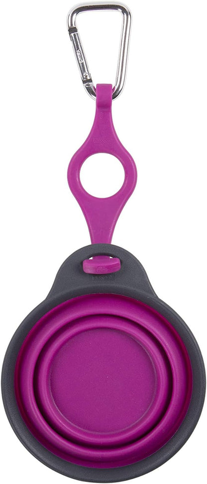 Dexas Pets Collapsible Travel Pet Cup with Bottle Holder and Carabiner, Fuchsia