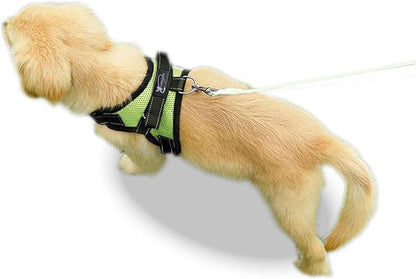 No Pull Reflective Adjustable Dog Harness With Handle- Comfortable Soft All Weather Mesh, Easy On Puppy Harness For Small Medium and Large Dogs (Green) Medium