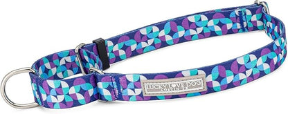 Lucky Love Dog Martingale Dog Collar & Leash - Adjustable, No-Slip, Durable, Comfortable, Soft Webbing, & Stylish Patterned Collar & Leash Set for Male and Female Dogs - Jasper Combo, Large
