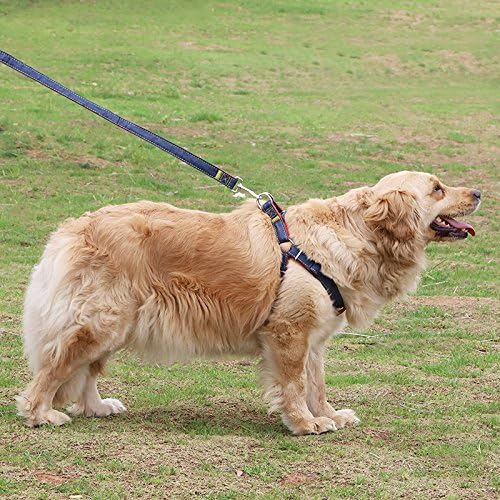 Hypeety Dog Denim Leash Harness Adjustable Heavy Duty Durable Dog Collar No-Pull for Training Walking Running, Good for Large Medium Small Dog (L (11.81"-17.77" Chest Girth))