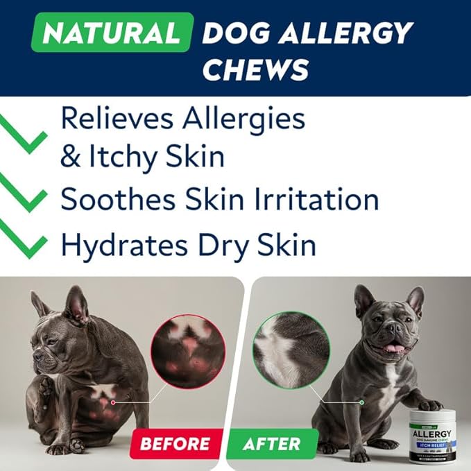STRELLALAB Dog Allergy Relief & Anti Itch Support Chews w/Omega 3: Real Ingredients, Real Taste! Skin & Coat Immune w/Fish Oil, Pumpkin & Enzymes — Developed by Experts - Made in USA - 60Ct
