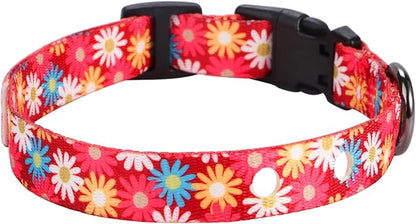 Rhea Rose 3/4 Inch Replacement Collar Strap Shock Collar with 2 Holes, Compatible with Nearly All Brands and Models of Underground Electric Dog Fences and Training Collars, Red Daisy