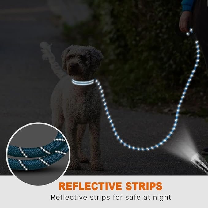 Taglory Rope Dog Leash 6 FT with Comfortable Padded Handle, Highly Reflective Threads Leash and Anti-Tangle Clip for Walking Small Dogs, 3/8 inch, Blue