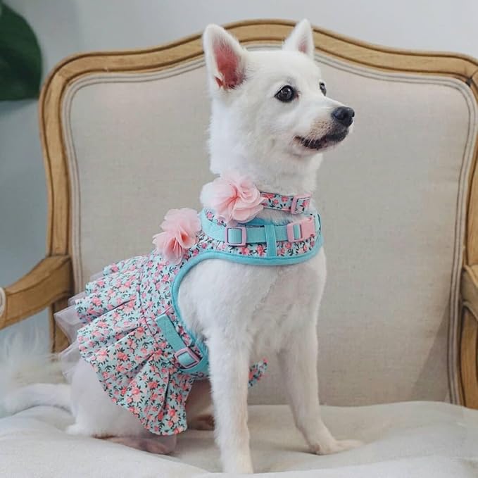 Blueberry Pet Soft & Comfy Made Well Cute Floral No Pull Mesh Dog Costume Harness Dress in Light Blue, Chest Girth 19"-21", Small, Adjustable Harnesses for Dogs