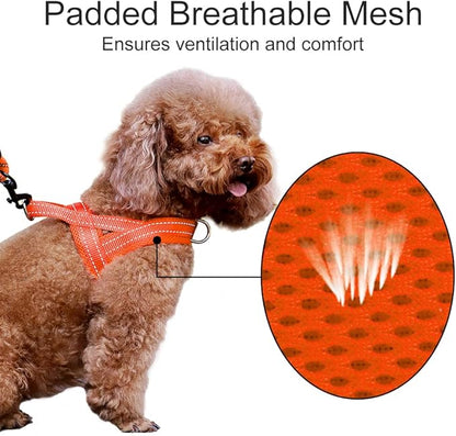 Plutus Pet No Pull Dog Harness with Breathable Mesh Padded, Adjustable Reflective Escape Proof Dog Harness, Quick Fit Dog Vest Harness for Small Medium Large Dogs(XXS, Orange)