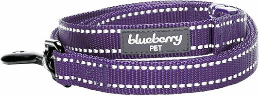 Blueberry Pet Essentials Durable 3M Reflective Classic Dog Leash 4 ft x 1", Violet, Large, Leashes for Dogs