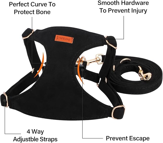 CHEDE No Pull Puppy Harness and Multifunction Dog Leash Set- 8 Colors Soft Adjustable No Choke Escape Proof Cute,Lightweight Pet Vest Harness for Small and Medium Dog (M, Black)