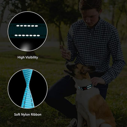 Martingale Dog Collar and Leash Set Martingale Collars for Dogs Reflective Martingale Collar for Small Medium Large Dogs(Sky Blue&M)