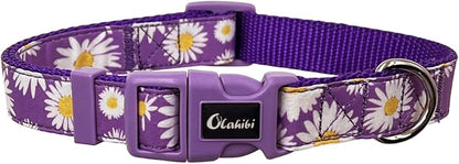 Dog Collar Leash Set, Floral Pattern, Nylon Webbing Plus Cotton Ribbon, 5ft Matching Leash, for Medium Dogs.(M, Purple Daisy)