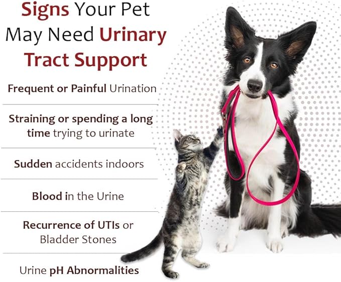 K-Plus Potassium Gluconate Renal Gel Plus Cranberry and EPA for Dogs and Cats - Veterinarian Approved Renal Supplement - Supports Potassium Balance -(2 Pack)