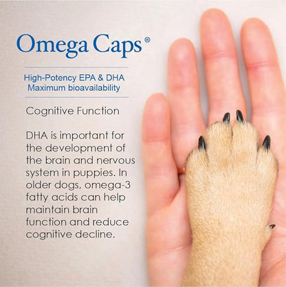 Omega Caps HP Snip Tips for Medium and Large Dogs High Potency EPA and DHA Maximum Bioavailability Fish Oil Supplement Vet Formulated Made in USA Skin Coat Joint and Heart Health 60 Capsules