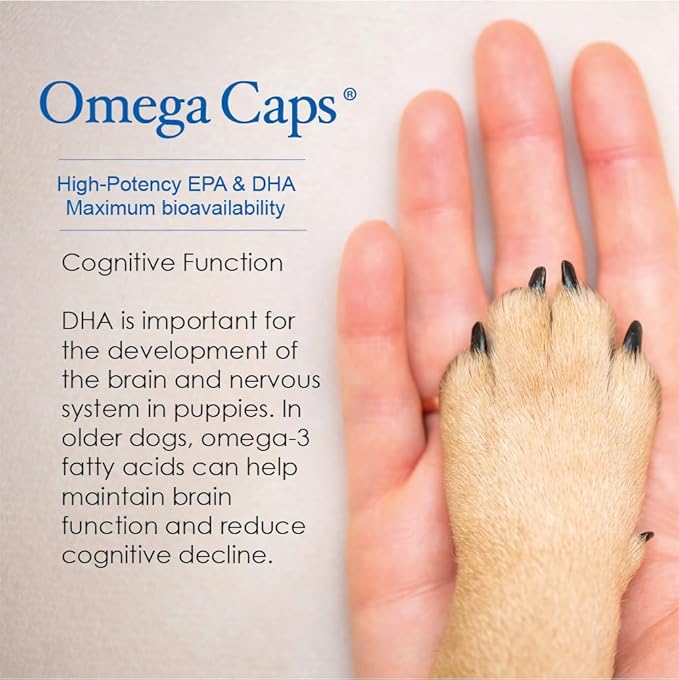 Omega Caps HP Snip Tips for Cats and Small Dogs High Potency EPA and DHA Maximum Bioavailability Fish Oil Supplement Vet Formulated Made in USA Skin Coat Joint and Heart Health 60 Capsules