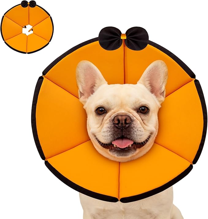 MAXFUT Soft Dog Cone Collar,Foam Cone for Dogs to Stop Licking After Surgery,Non Inflatable Dog Donut Cone (Orange, M)