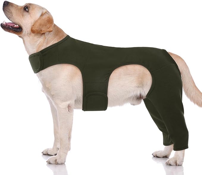 ROZKITCH Back Leg for Dogs Rear Leg Rear Legs, Pet Sleeve to Prevent Licking Wound Elbow Protector, Long Sleeve Dog Surgery Recovery Suit for Sprain ACL CCL Arthritis Joint Care Green M