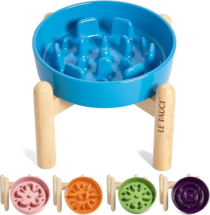 LE TAUCI Ceramic Slow Feed Dog Bowls, Elevated for Small Breeds, 6 inch, Blue, Non-slip