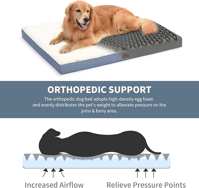 Plush Orthopedic Dog Bed for Medium Dogs & Puppies, Waterproof Dog Beds 30x20 Inch with Removable Washable Cover, Egg Crate Foam Flat Pet Mat, Blue White
