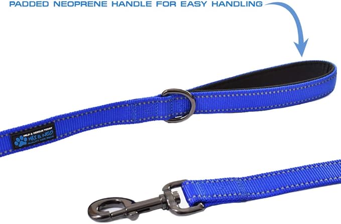 Max and Neo Small Dog Leash - Reflective Nylon, Donates to Dog Rescue (Teal, 6x5/8)
