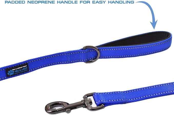 Max and Neo Small Dog Leash - Reflective Nylon, Donates to Dog Rescue (Orange, 4x5/8)