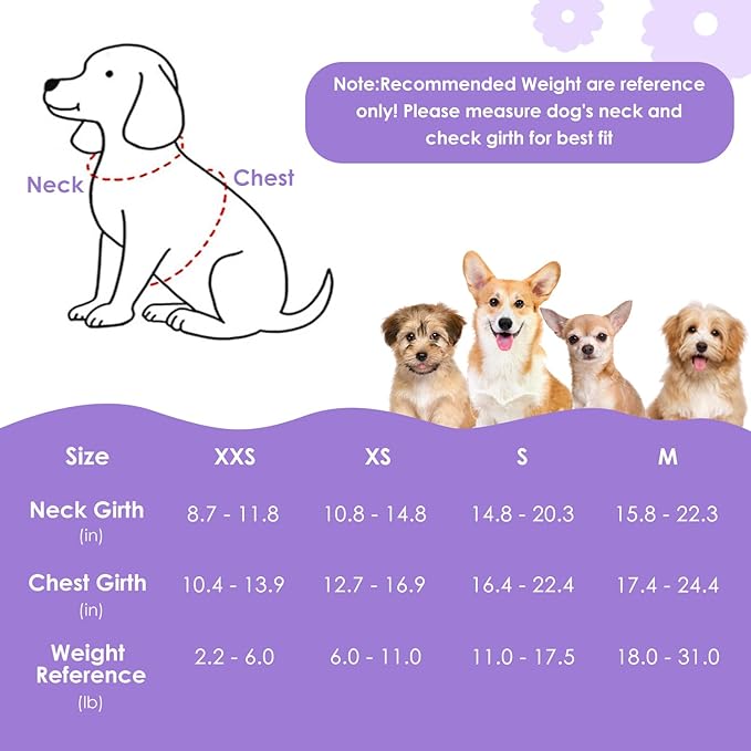SlowTon Dog Harness Small Sized Dog - Soft XXS Dog Harness and Leash Set No Pull No Chock, Adjustable Lightweight Puppy Harness for XS Small Medium Dogs Cats (Solid Purple, XXS)